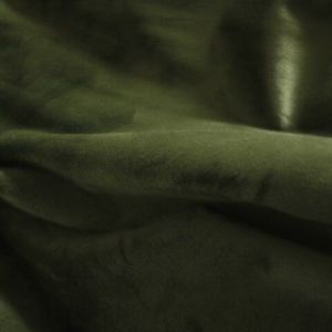 Velvet - Forest